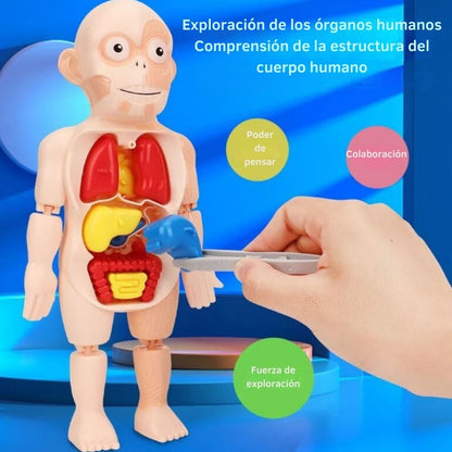 ¡JUGUETE CUERPO HUMANO!
