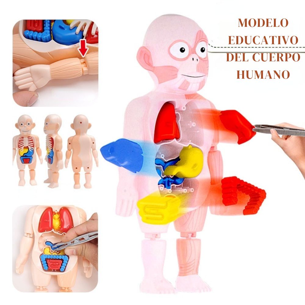¡JUGUETE CUERPO HUMANO!