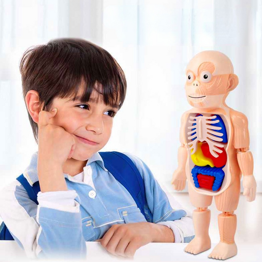 ¡JUGUETE CUERPO HUMANO!