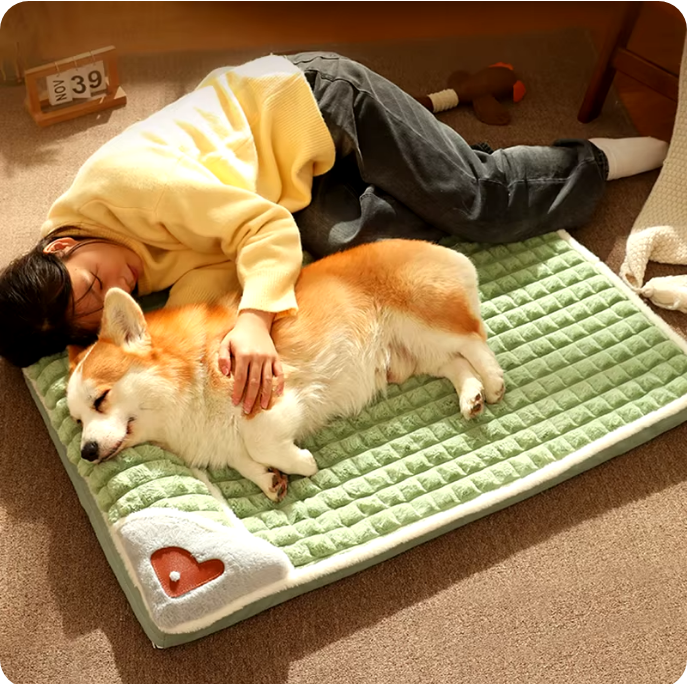 ¡CAMA ORTOPÉDICA PARA MASCOTAS!