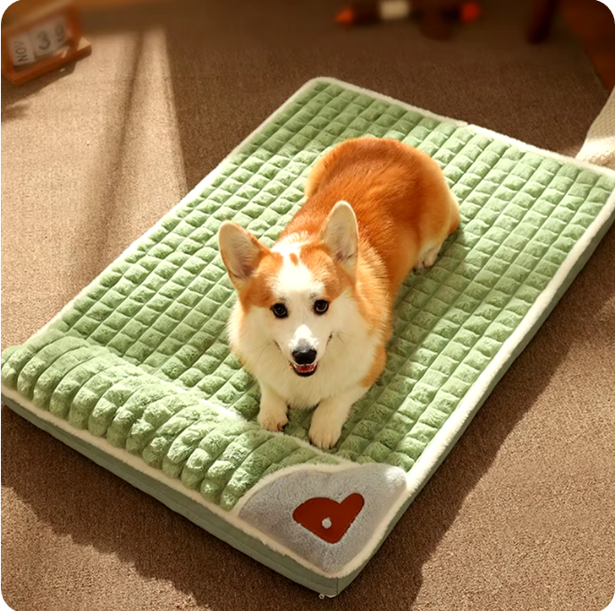 ¡CAMA ORTOPÉDICA PARA MASCOTAS!