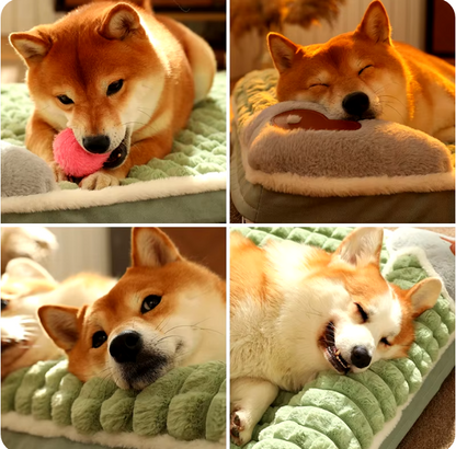 ¡CAMA ORTOPÉDICA PARA MASCOTAS!