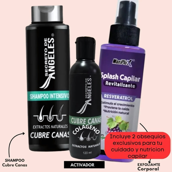 Shampoo Cubre Canas + 2 Obsequios