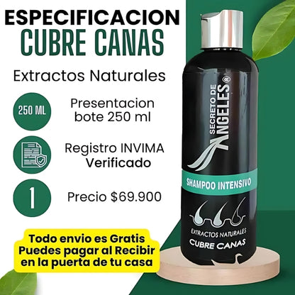 Shampoo Cubre Canas + 2 Obsequios