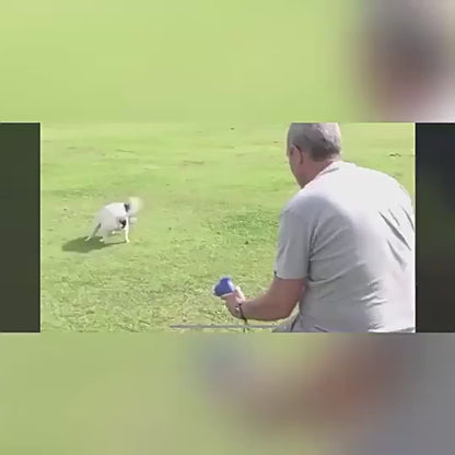 ¡LANZADOR DE COMIDA PARA MASCOTAS!